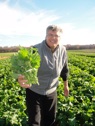 UGM Bert Broccoli Rabe Bifulcos Farms Bifulco Tall Boy Brand Pittsgrove New Jersey USA Four Seasons