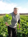 UGM Bert Broccoli Rabe Bifulcos Farms Bifulco Tall Boy Brand Pittsgrove New Jersey USA Four Seasons