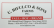 Bifulcos Farms Bifulco Tall Boy Brand Pittsgrove New Jersey USA